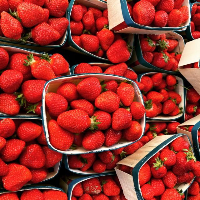 Provencal Market Walking Tour with Tastings - Tastings that help you shop with confidence