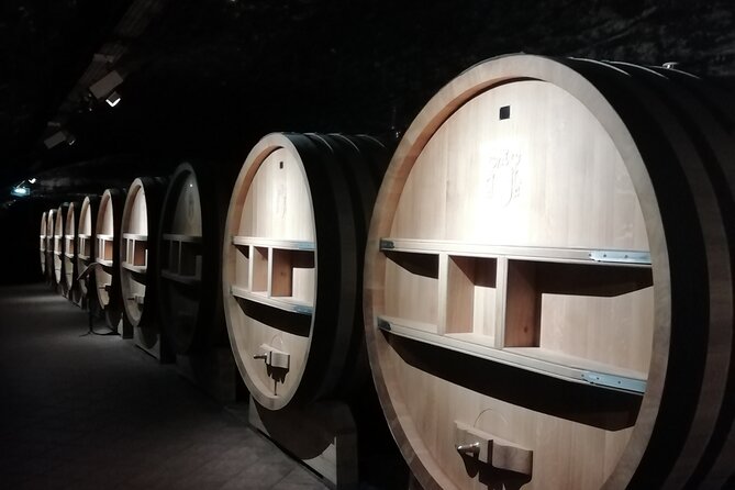 Provence Cru Wine Small-Group Half-Day Tour from Avignon - Leaving Avignon for the Rhône wine country