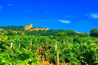 Provence Cru Wine Small-Group Half-Day Tour from Avignon
