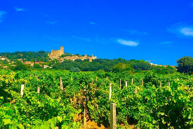 Provence Cru Wine Small-Group Half-Day Tour from Avignon - Gigondas, a village built around wine