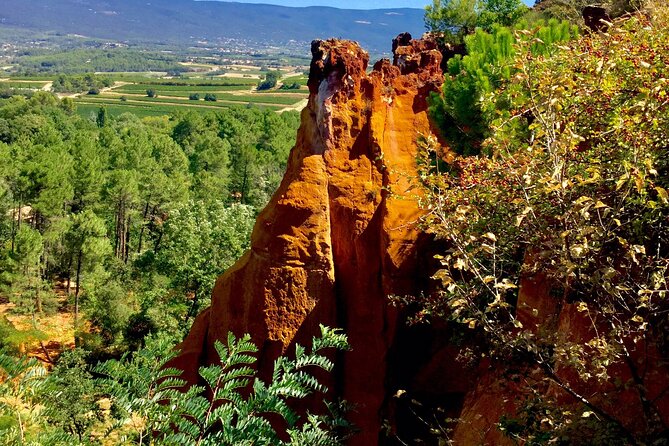 Provence Highlights Full-Day Tour from Avignon - Saint-Rémy-de-Provence: fountains, squares, and easy strolling