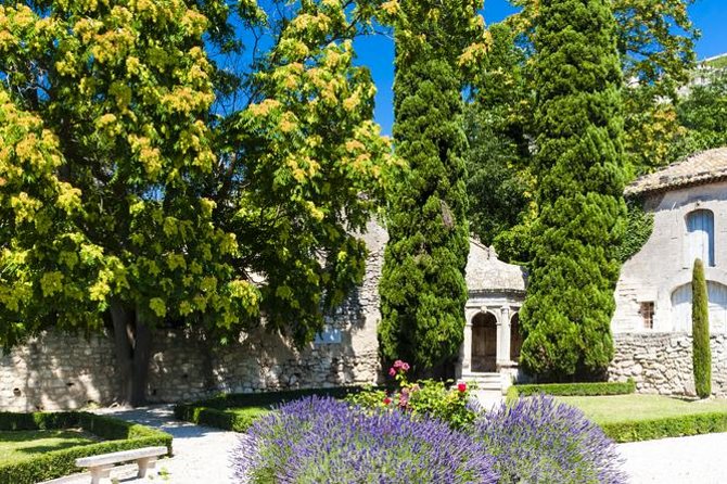 Provence in One Day Small Group Day Trip from Avignon - Why this tour works well without a car