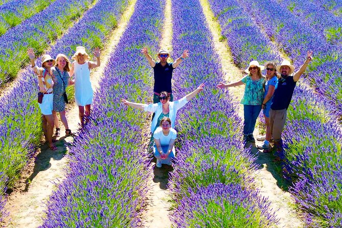 Provence Lavender Fields Tour from Aix-en-Provence - The full-day Valensole route, from fields to Moustiers