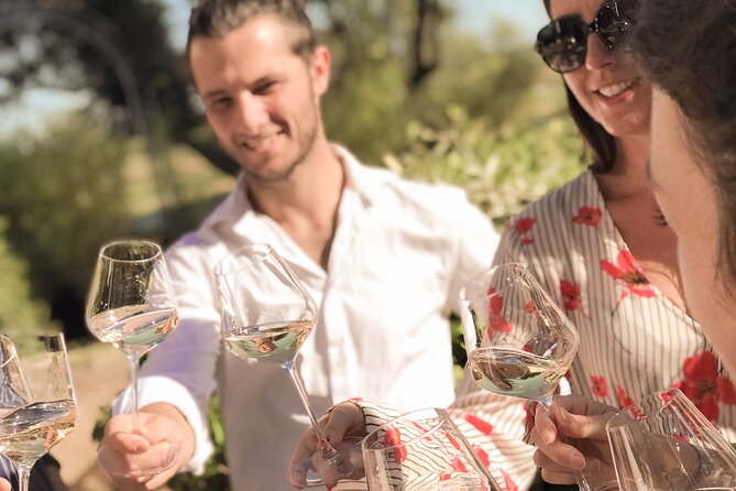 Provence Wine Tour - Small Group Tour from Cannes - Second estate: family wine and local art
