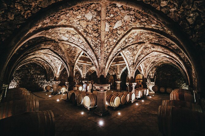 Provence Wine Tour - Small Group Tour from Nice - Fifteen tastings across reds, whites, and rosés