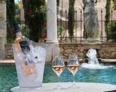 Provence Wine Tour – Small Group Tour from Nice