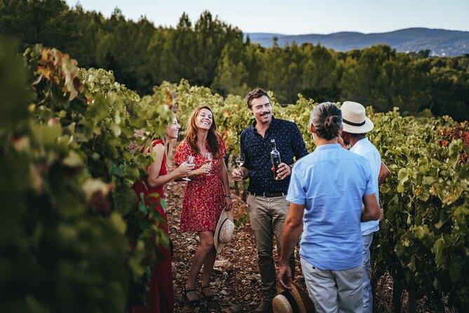 Provence Wine Tour - Small Group Tour from Nice - Lunch in a village or at a vineyard