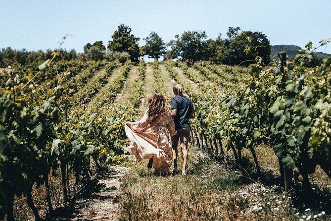 Provence Wine Tour - Small Group Tour from Nice - The value of $187.53