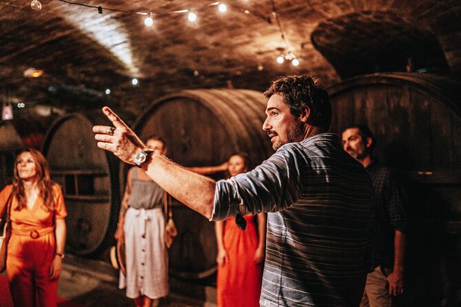 Provence Wine Tour - Small Group Tour from Nice - Timing, comfort, and practical details