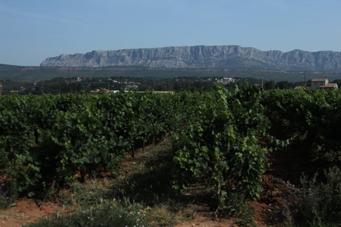 Provence Wineries and Luberon Villages Day Trip from Aix-en-Provence - Why this Provence combination works