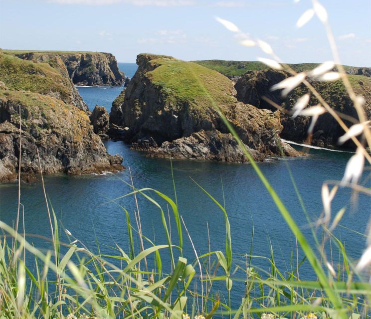 Quiberon: Ferry tickets from/to Belle-Île-en-Mer, Le Palais - Luggage, pets, and access