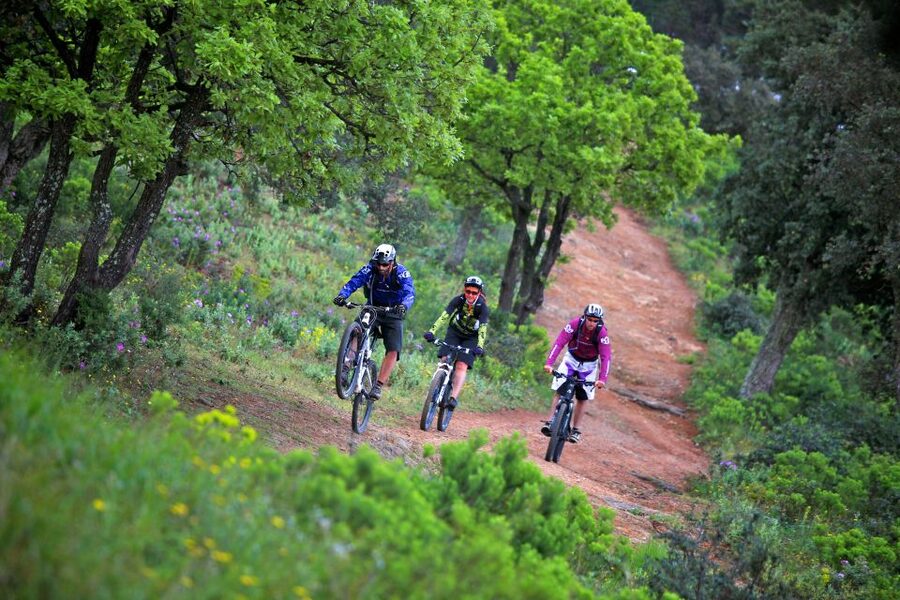 Ramatuelle: Tracks & Tasting Winery Tour by Mountain E-Bike - Why this Ramatuelle bike tour works