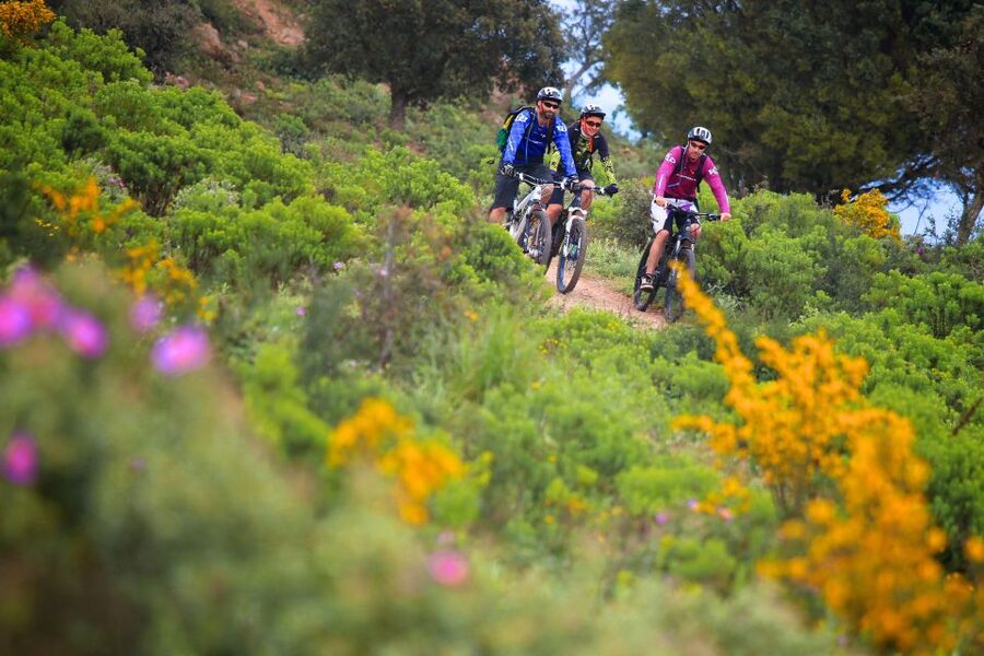 Ramatuelle: Tracks & Tasting Winery Tour by Mountain E-Bike - Visiting private wineries around Ramatuelle