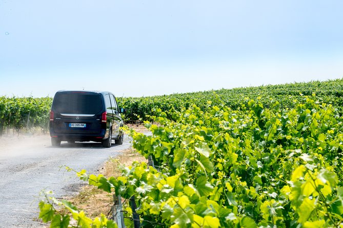 Reims afternoon tour Champagne and family growers - Hautvillers and the Dom Pérignon connection