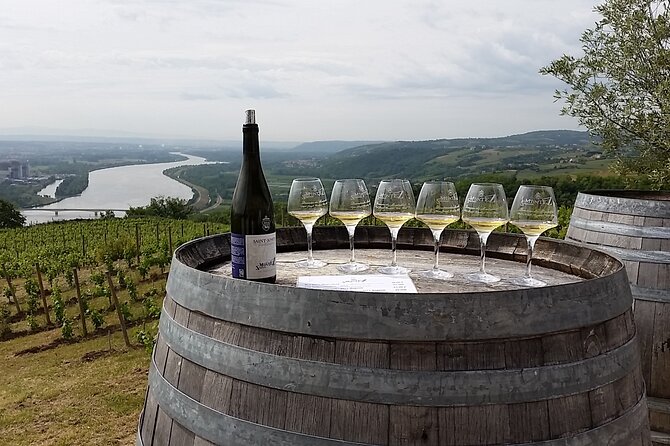Rhône Valley Wine Tasting Private Day Tour from Lyon - First stop: steep slopes and the Côte-Rôtie view
