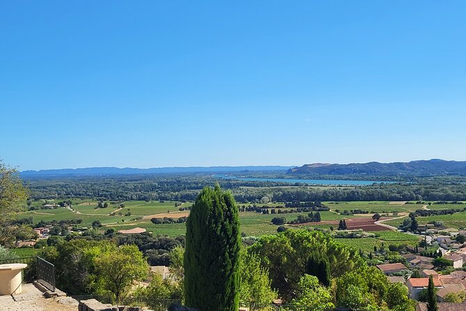 Roman Heritage & Wine Legacy - What Gordana adds to the winery visits
