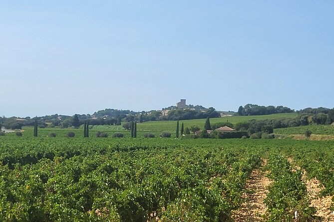 Roman Heritage & Wine Legacy - Is $113.84 a fair price?