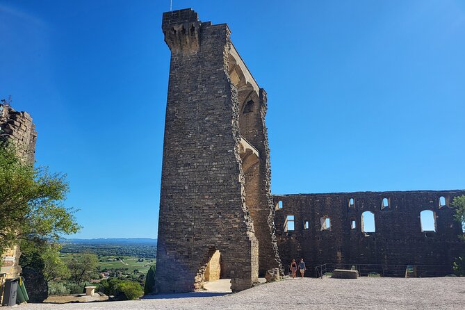 Roman Heritage & Wine Legacy - Châteauneuf-du-Pape: wine among stones and scrub
