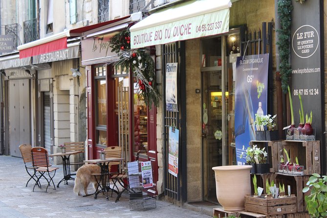 Roman Sites and Historical Places Day Trip from Avignon - Minivan comfort, timing, and pace