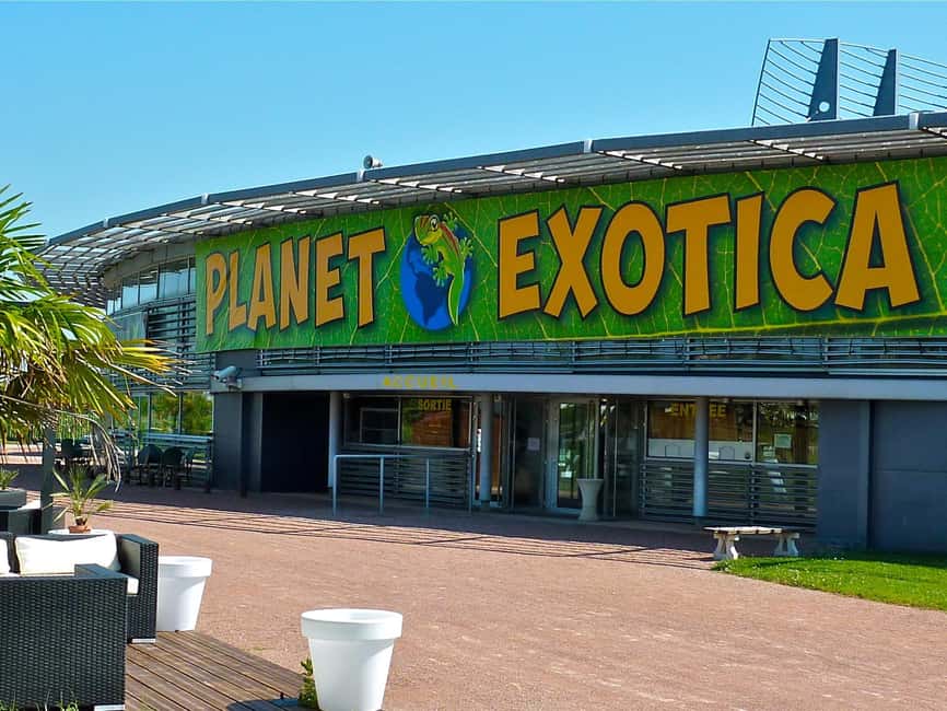 Royan: Planet Exotica Entry Ticket - What the welcome may be like