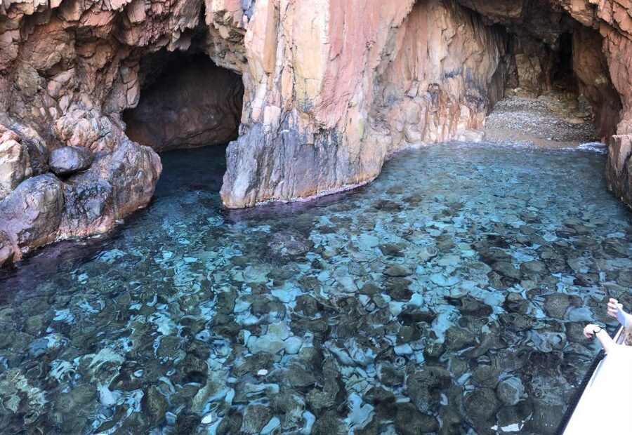 Sagone/Cargèse: Croisière Scandola, Piana, Girolata Baignade - Who should book this cruise?