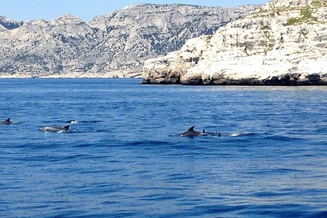 Sailing day in the heart of the Calanques - Morgiou, a classic Calanque stop