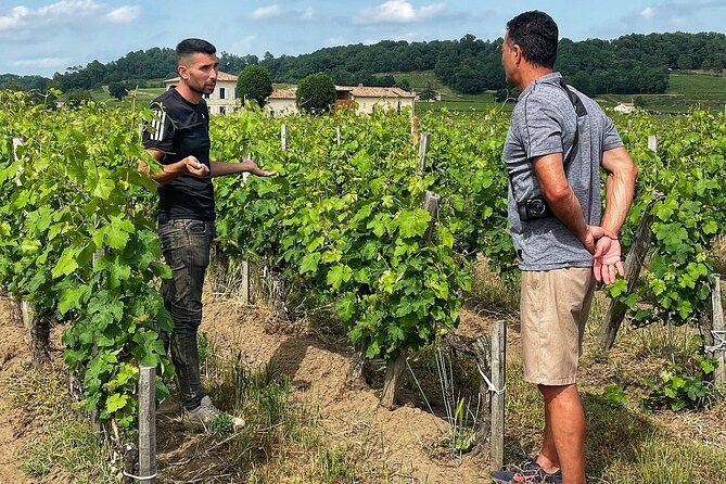 Saint-Émilion: 2 hours - Visit of the vineyard, the cellar and tasting - Key points to know before you book