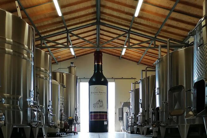 Saint-Émilion: 2 hours - Visit of the vineyard, the cellar and tasting - Meeting Florent and entering a fourth-generation château