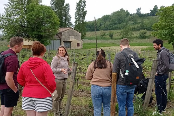 Saint-Emilion Afternoon Wine Tour - 2 Wineries & delicacies - What the guides add to the day