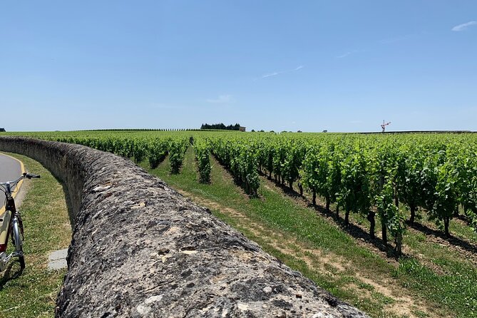 Saint-Emilion Afternoon Wine Tour - 2 Wineries & delicacies - Inside a Grand Cru château