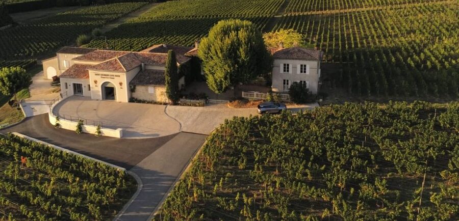 Saint-Émilion: Bordeaux Vineyard Tour and Wine Tasting - Why the $21 Price Works