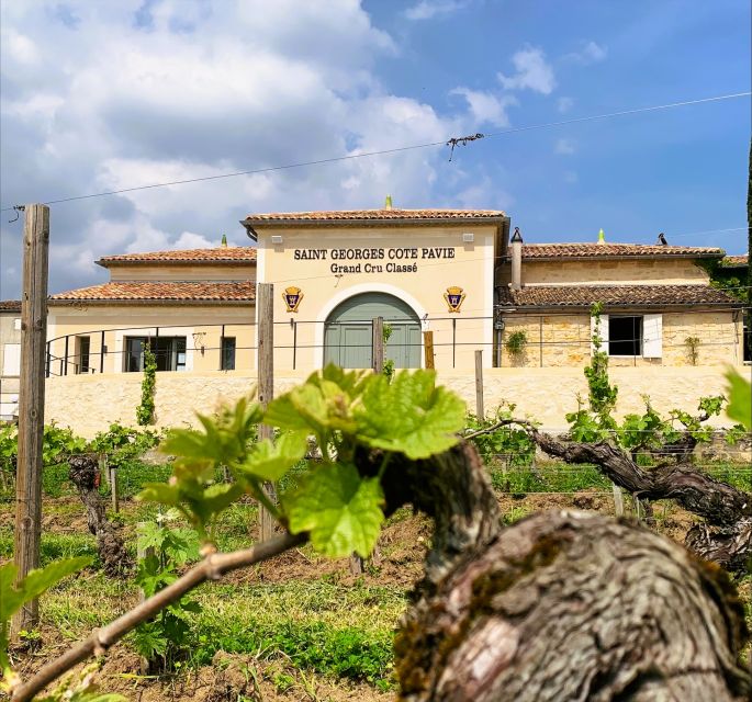 Saint-Émilion: Bordeaux Vineyard Tour and Wine Tasting - Pair It With the Medieval Village