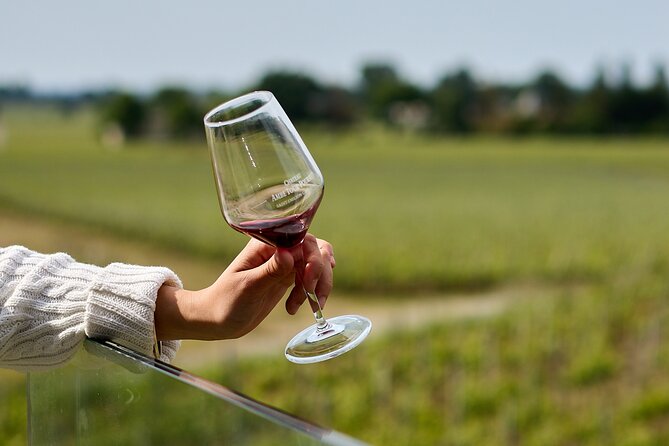Saint-Émilion day tour: village visit, Châteaux and lunch - Who should book this Saint-Émilion tour?