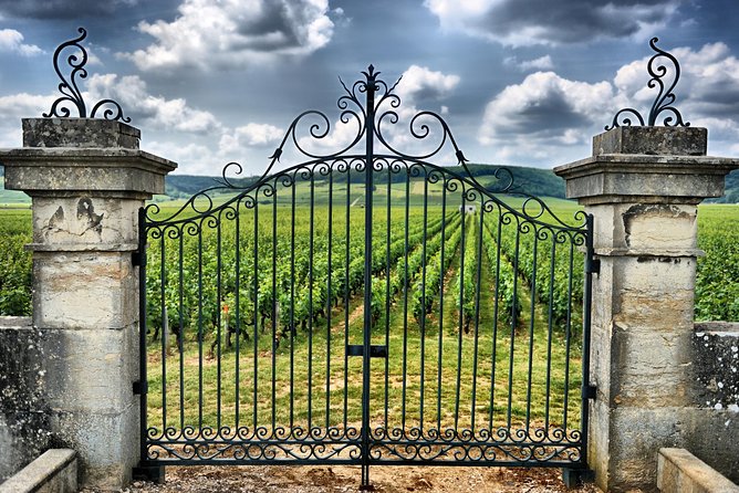 Saint Emilion Day Trip with Sightseeing Tour & Wine Tastings from Bordeaux - Pomerol and the final cellar visit