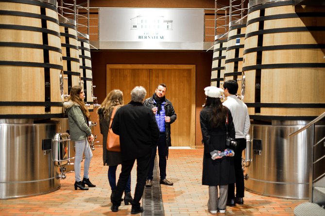 Saint-Emilion Food and Wine Day Tour - Les Domaines de Moncets and a second point of view