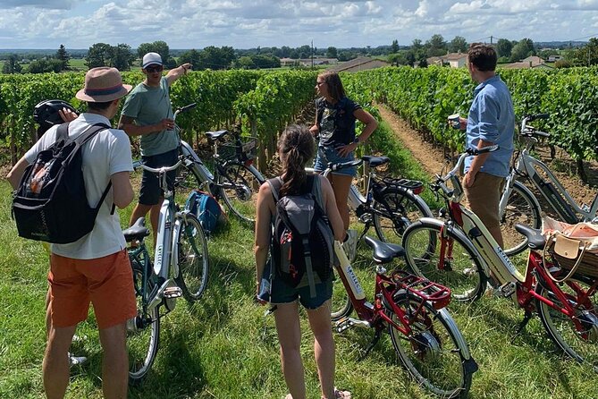 Saint Emilion Full Day Wine and Bike Tour - The family-owned estate and final tastings
