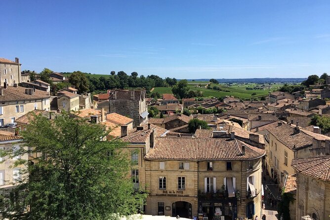 Saint Emilion Full Day Wine and Bike Tour - Who will enjoy this day most?