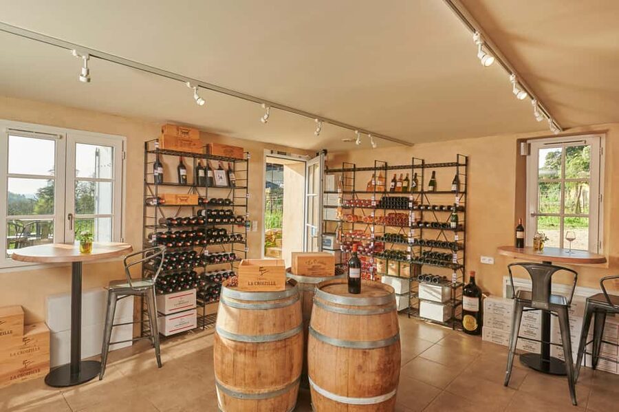 Saint-Emilion: Grand Cru Classé Gourmet Visit - What the experience does particularly well