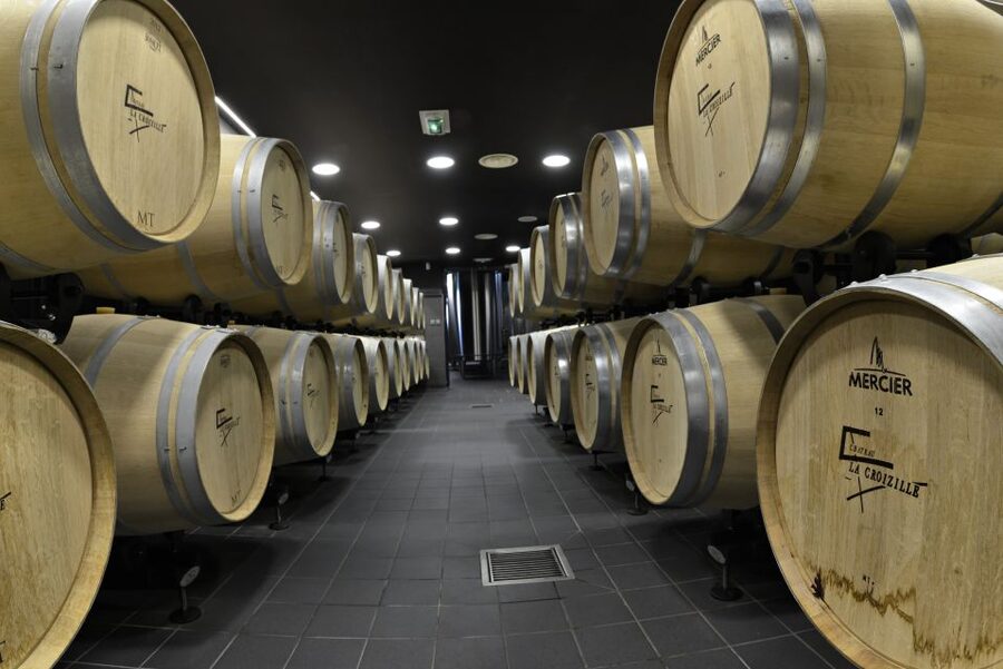 Saint-Émilion: Grand Cru Classé Winery Visit and Tasting - Vineyard views that earn their place