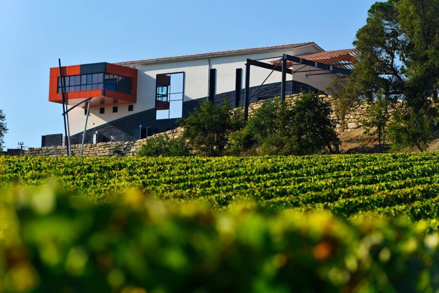 Saint-Émilion: Grand Cru Classé Winery Visit and Tasting - Price, access, and who should book