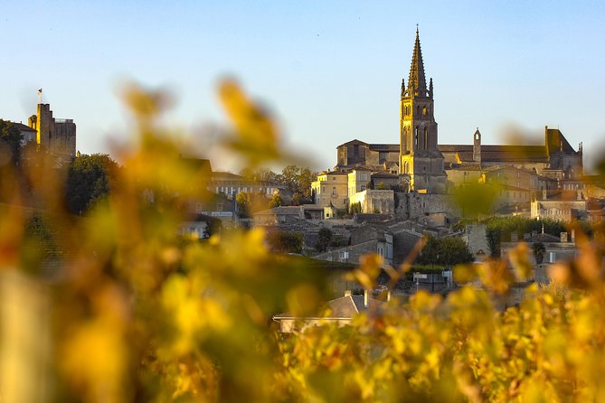 Saint Emilion Half-Day Trip with Wine Tasting & Winery Visit from Bordeaux - Leaving Bordeaux in an eight-seat minivan