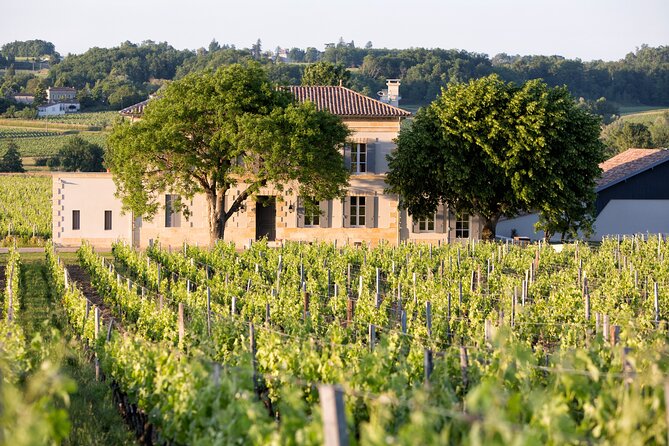 Saint Emilion Half-Day Trip with Wine Tasting & Winery Visit from Bordeaux - Useful planning details before you go