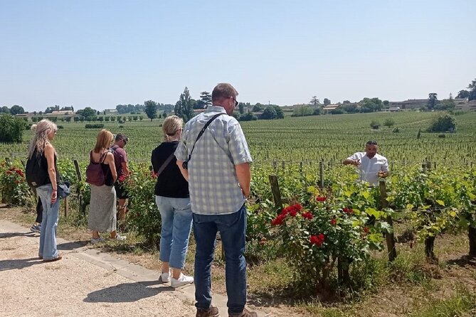Saint Emilion Morning Wine Tour - Winery & Tastings from Bordeaux - Who will enjoy this Saint-Émilion tour?