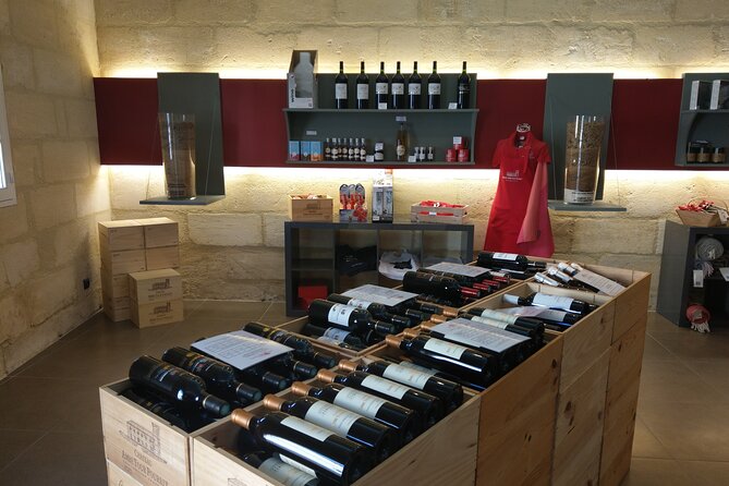Saint-Emilion Private Full Day Wine Tour from Bordeaux - Why Saint-Emilion works so well as a day trip