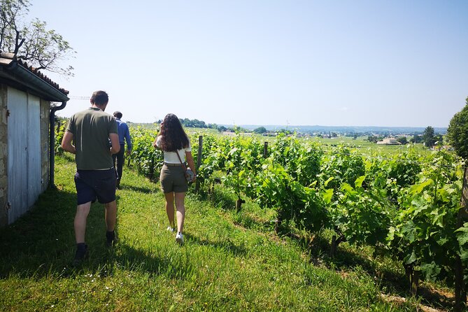 Saint-Emilion Private Full Day Wine Tour from Bordeaux - A full day for serious wine interest