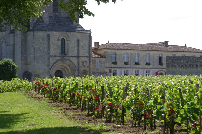 Saint-Emilion Private Full Day Wine Tour from Bordeaux - Food, alcohol, children, and practical limits