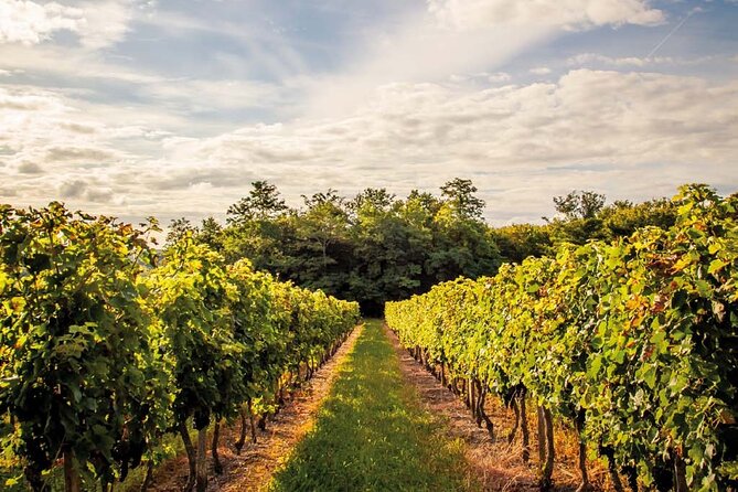 Saint-Emilion Private Half Day Wine Tour from Bordeaux - Saint-Emilion village is more than a photo stop