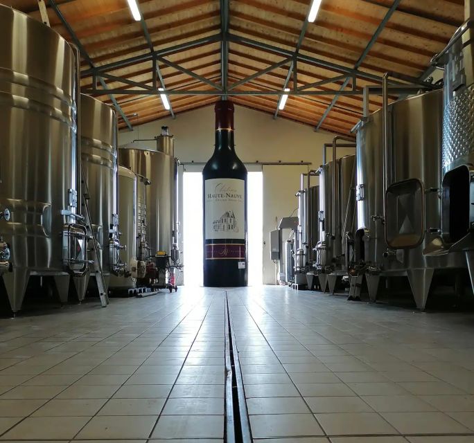 Saint-Émilion: Vineyard Walking Tour and Tasting - Key points to know before you go