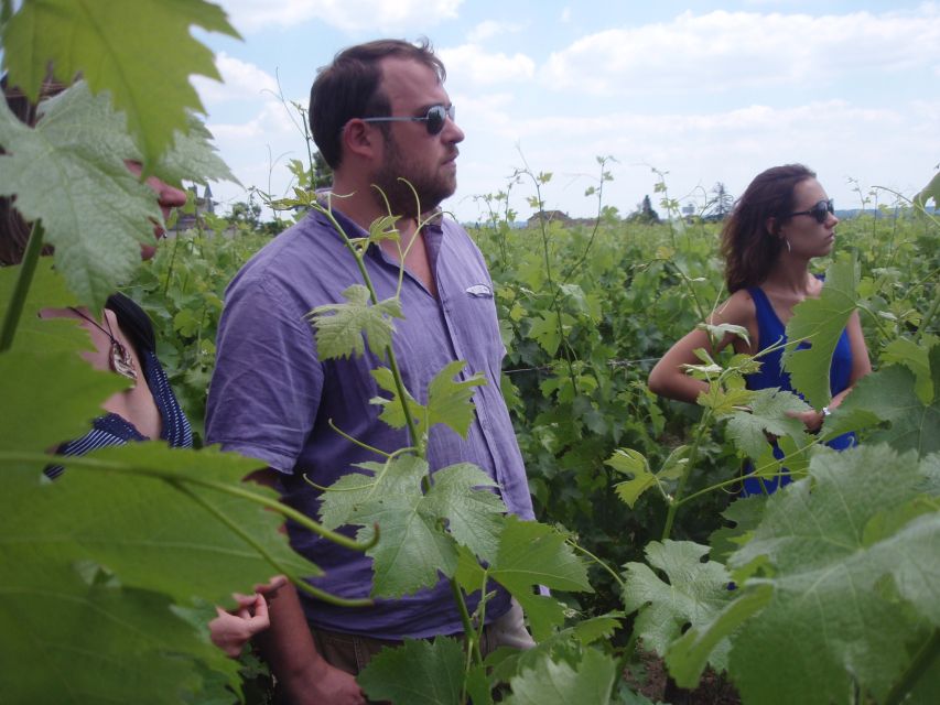 Saint-Émilion: Vineyard Walking Tour and Tasting - Why this family vineyard visit feels different