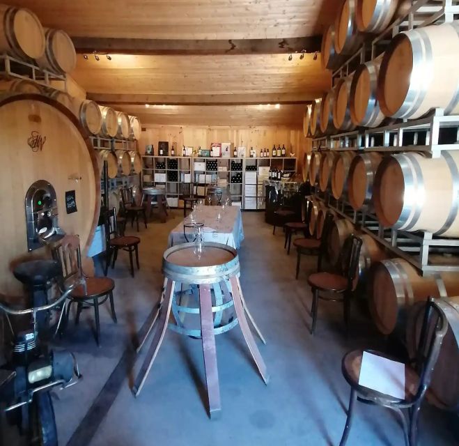 Saint-Émilion: Vineyard Walking Tour and Tasting - Inside the vinification cellar